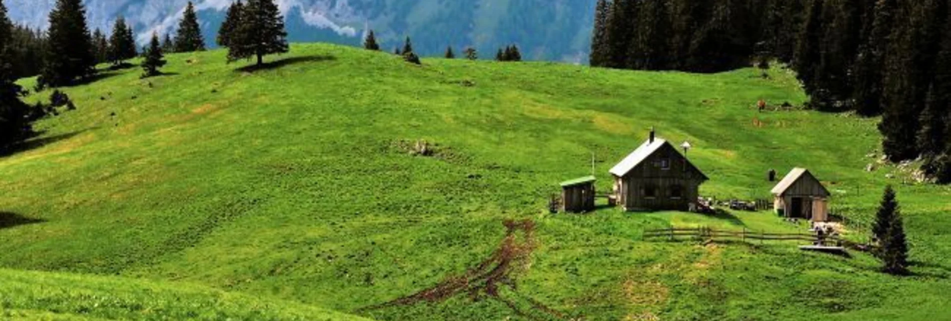 Hiking route Mit dem Bus zum Berg - Tonionüberschreitung - Touren-Impression #1 | © Naturpark Mürzer Oberland