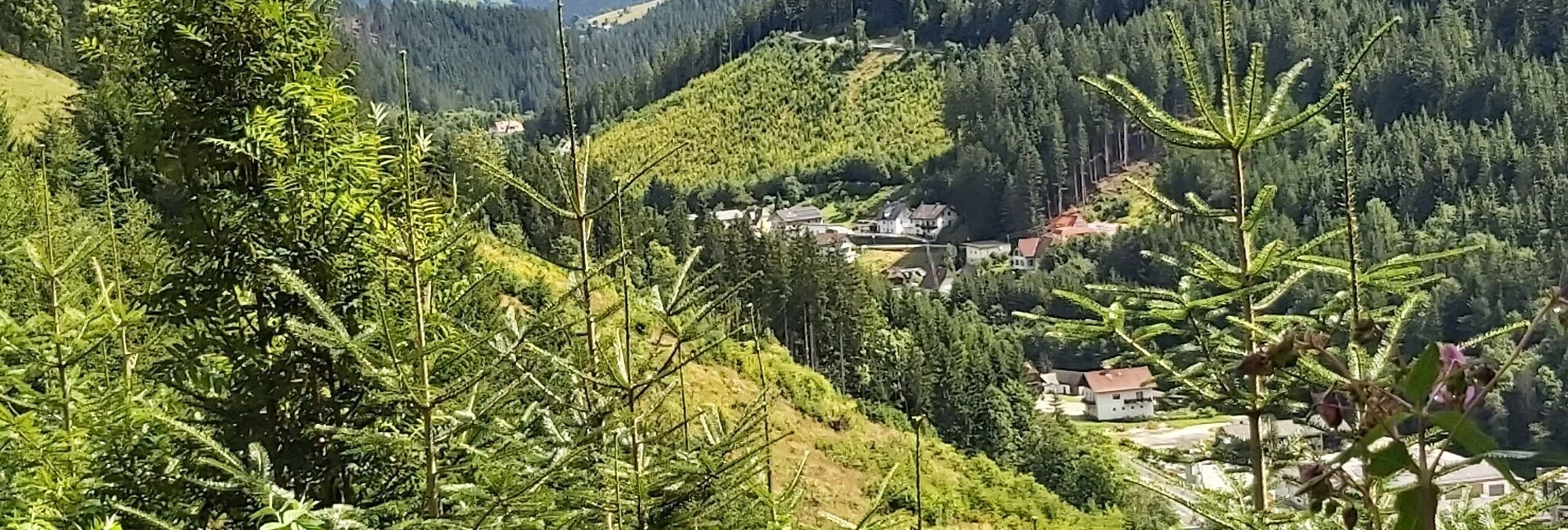 Themen- und Lehrpfad Mondweg, Ratten - Touren-Impression #1 | © Oststeiermark Tourismus