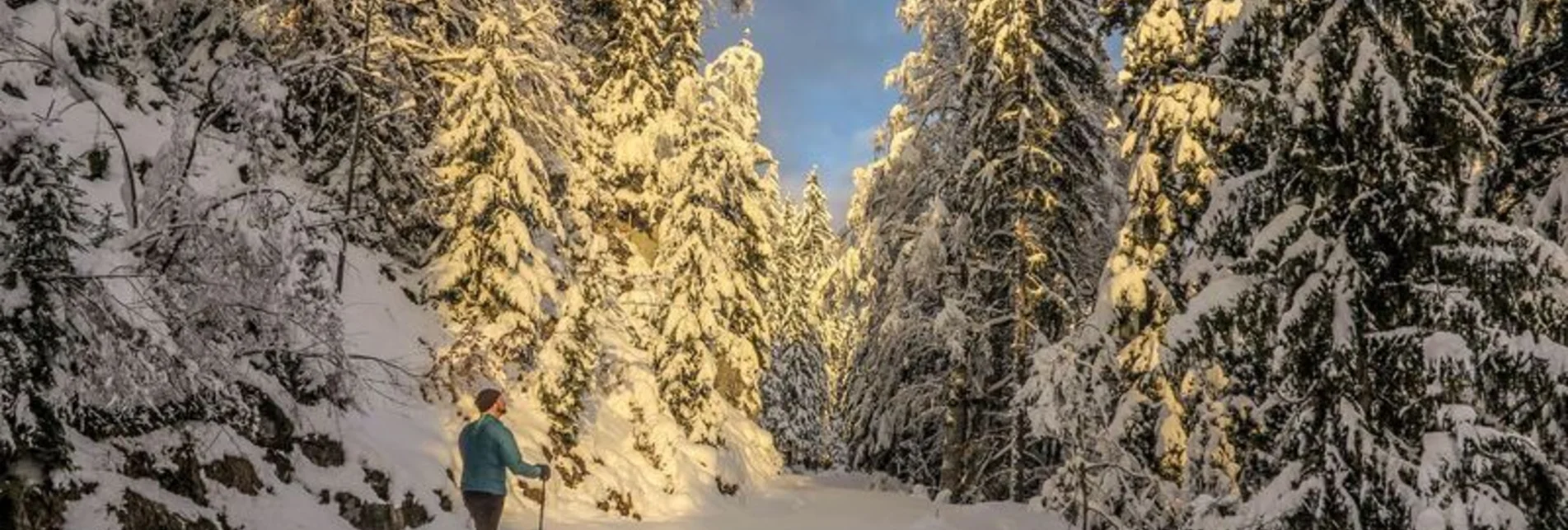 Winter Hiking Johnbacher Almenrunde - Touren-Impression #1 | © TV Gesäuse