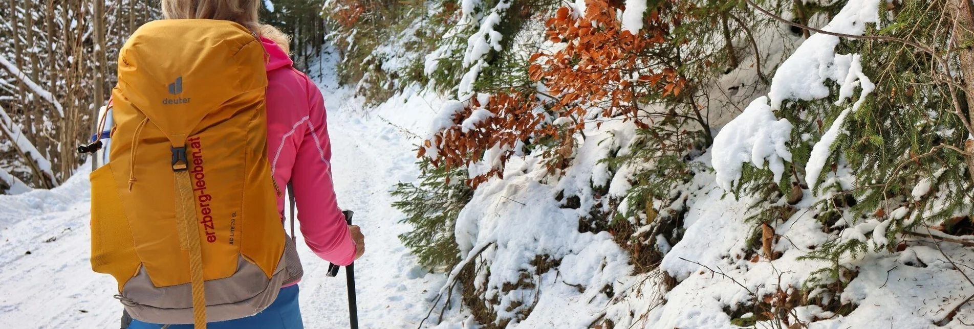 Winter Hiking On the Mugel in winter - High above Leoben - Touren-Impression #1 | © Weges OG