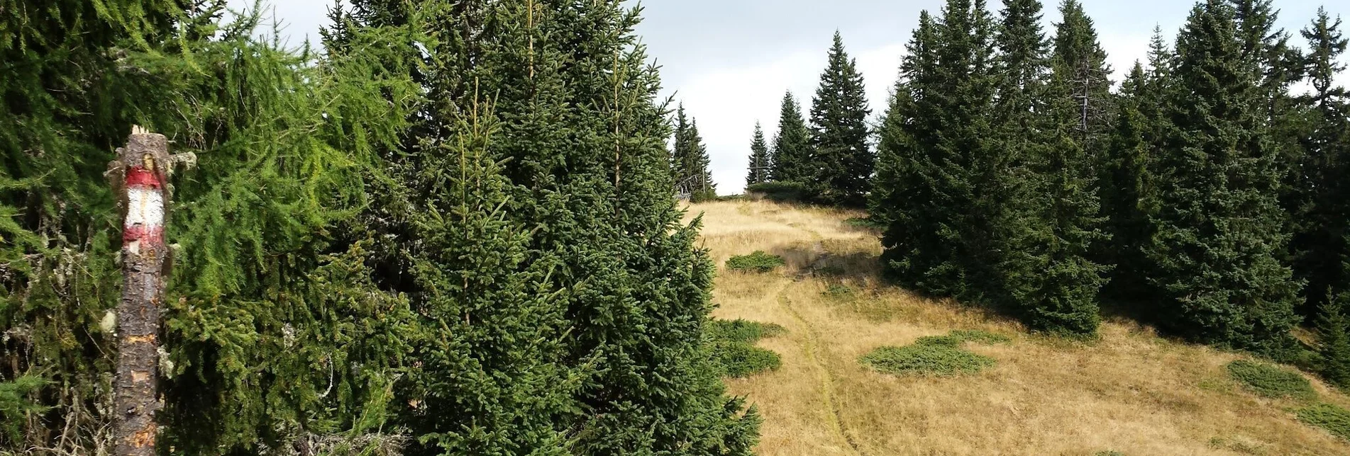 Wanderung Weg zum Stolzalpengipfel - Touren-Impression #1 | © Tourismusverband Murau