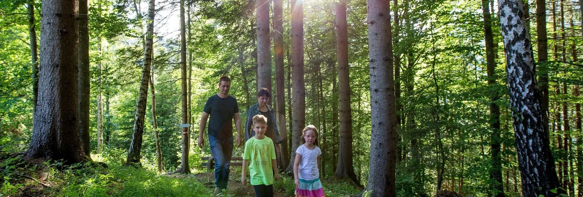 Wanderung Käferweg von Murau Richtung Stolzalpe - Touren-Impression #1 | © Tourismusverband Murau