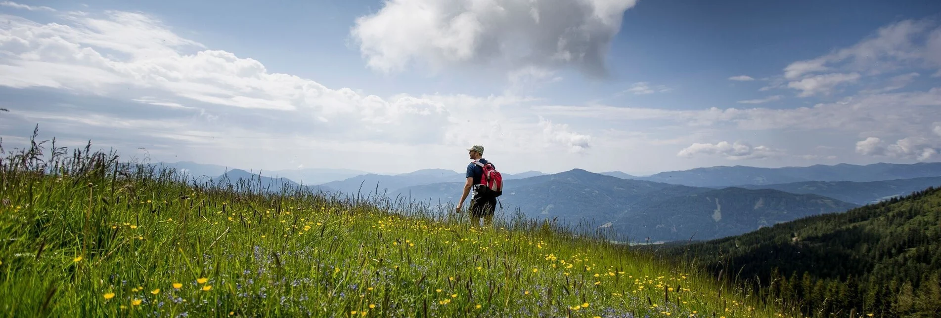 Wanderung Dorfer Alm - Touren-Impression #1 | © Tourismusverband Murau