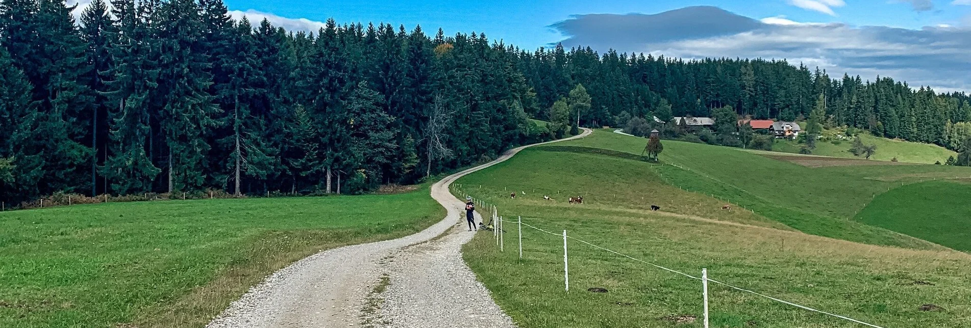 Mountain Biking Odernik Tour - the small Nandl with a big panorama - Touren-Impression #1 | © Südsteiermark