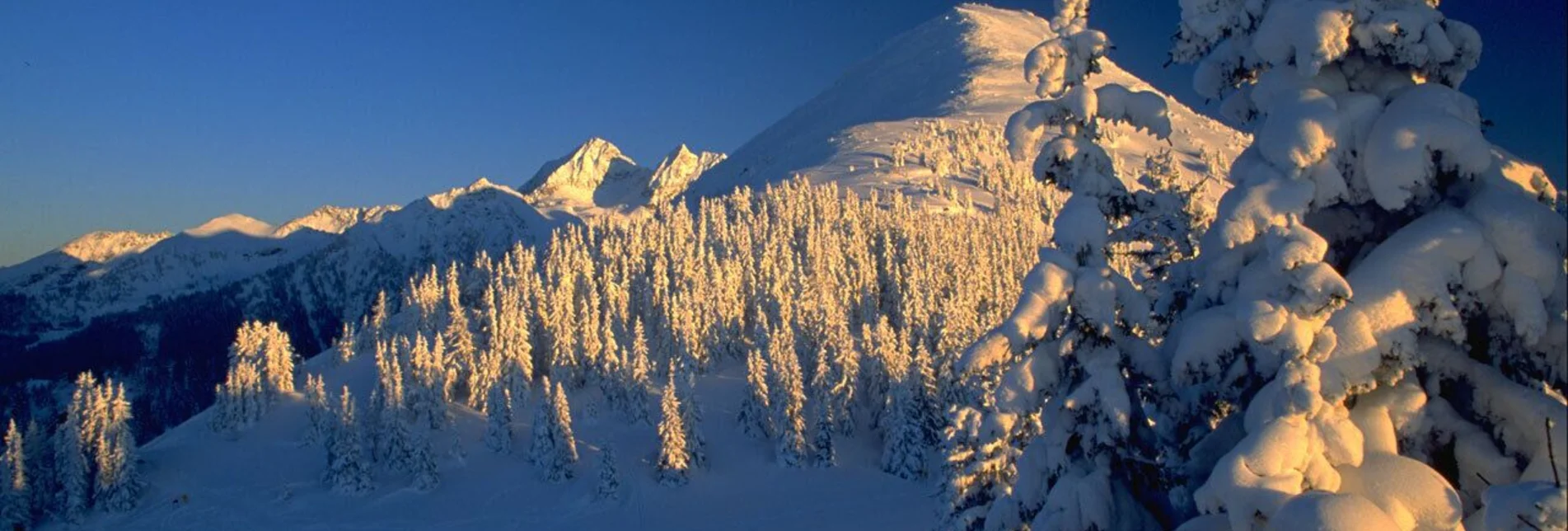 Skitour Skitour Krahbergzinken - Touren-Impression #1 | © Herbert Raffalt