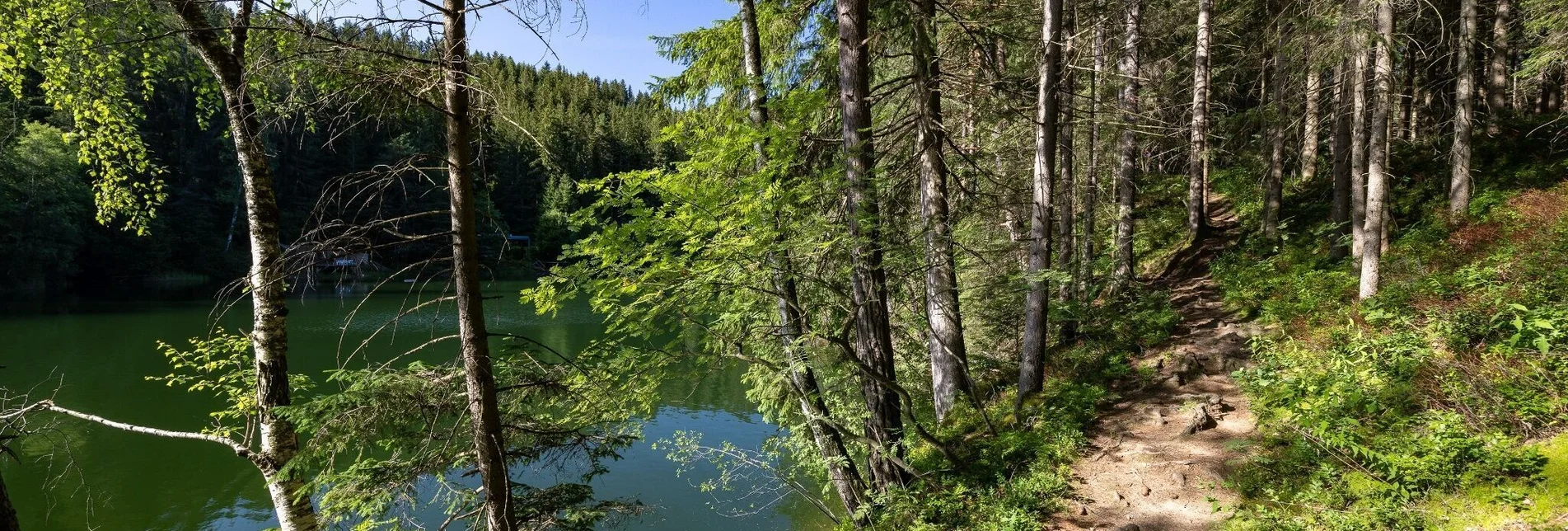 Wanderung Rund um den Hirzmann Stausee - Touren-Impression #1 | © Region Graz