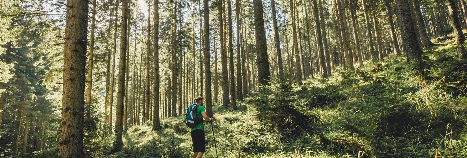 Wanderung Malleistenalm - Hocheck - Touren-Impression #1 | © Hochsteiermark