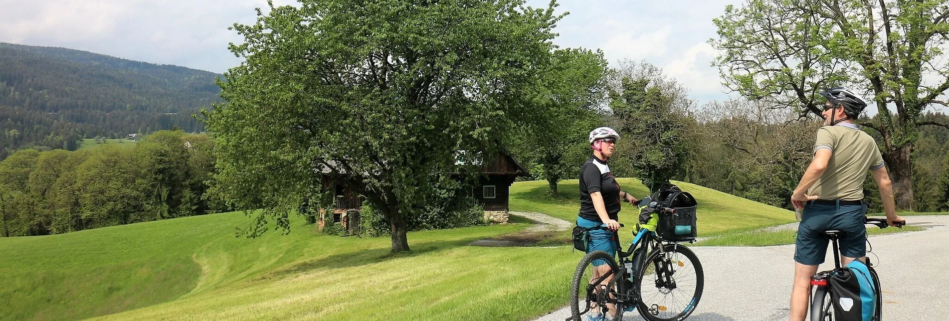 Radfahren Ligister E-Bike Tour Berg & Wein - Touren-Impression #1 | © Region Graz