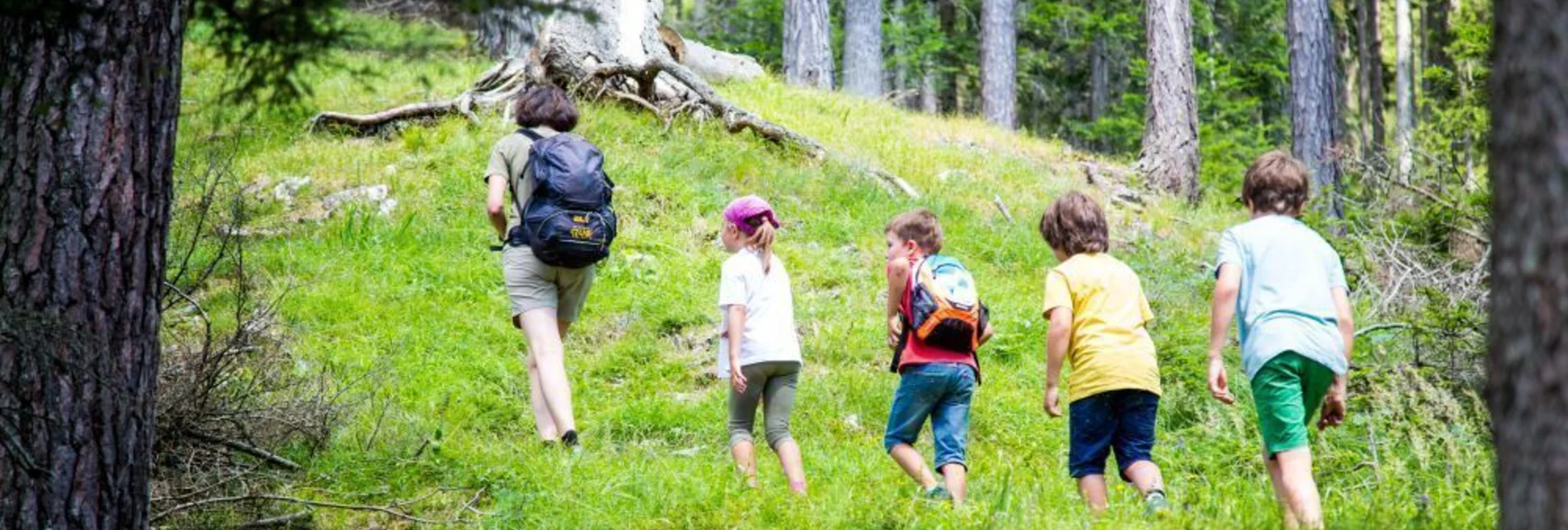 Wanderung Zum Plodererkreuz und zur Bleiweißgrube - Touren-Impression #1 | © Hochsteiermark