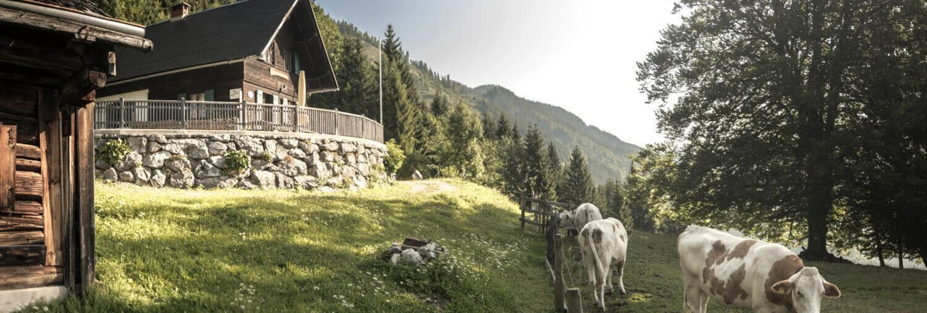 Wanderung Wanderrunde über die Naturfreundehütte und Moaralm Palfau - Touren-Impression #1 | © TV Gesäuse