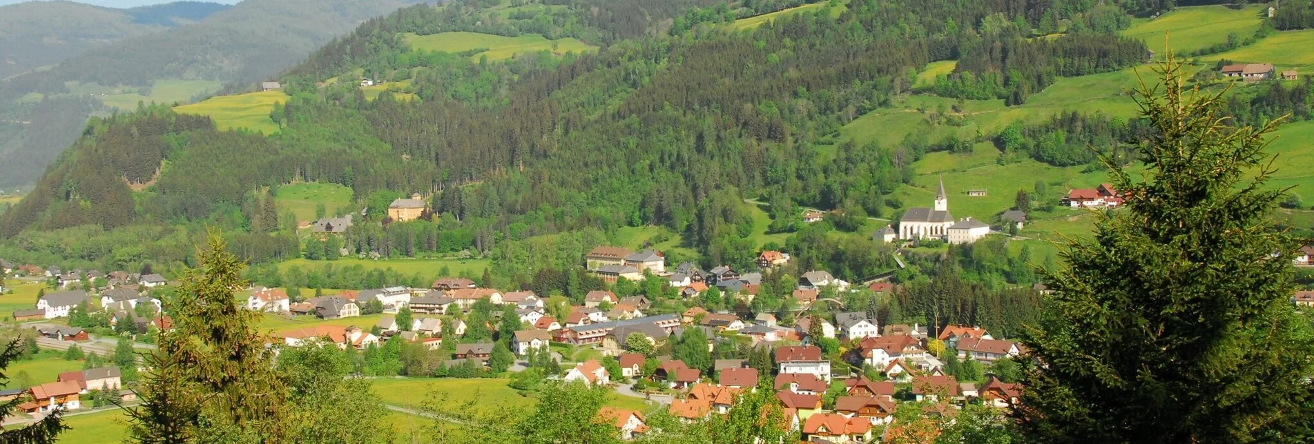 Wanderung Laserberg - Touren-Impression #1 | © Tourismusverband Murau