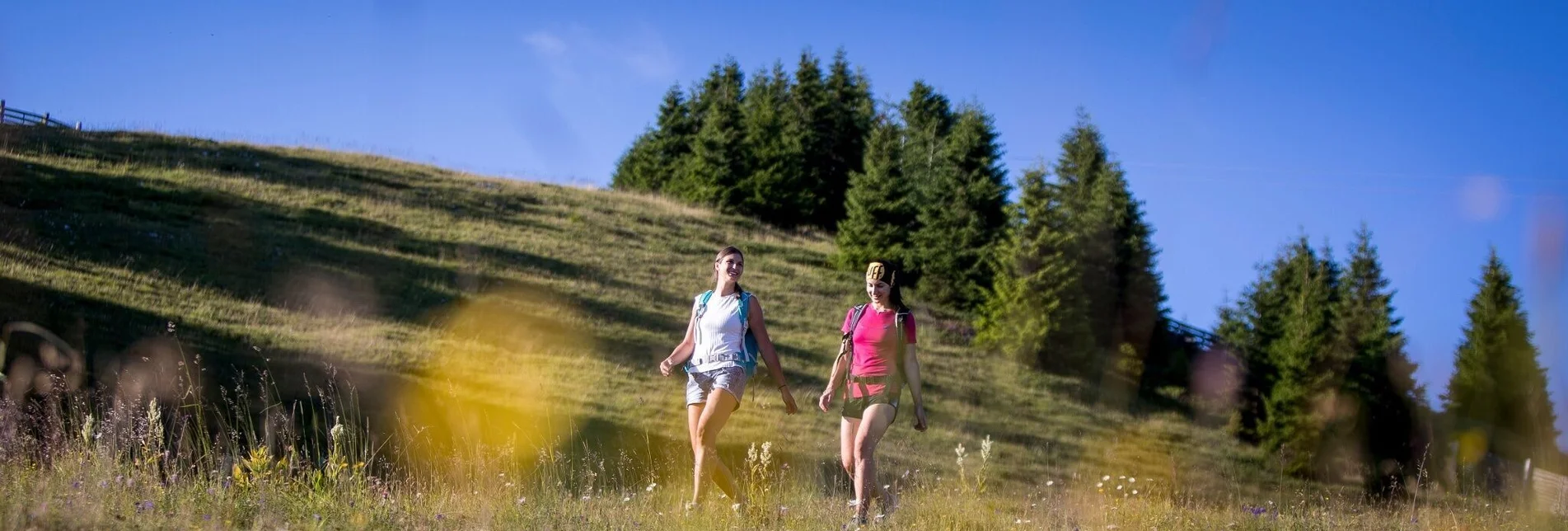 Hiking route Scharfes Eck mountain trail - Touren-Impression #1 | © Tourismusverband Murau