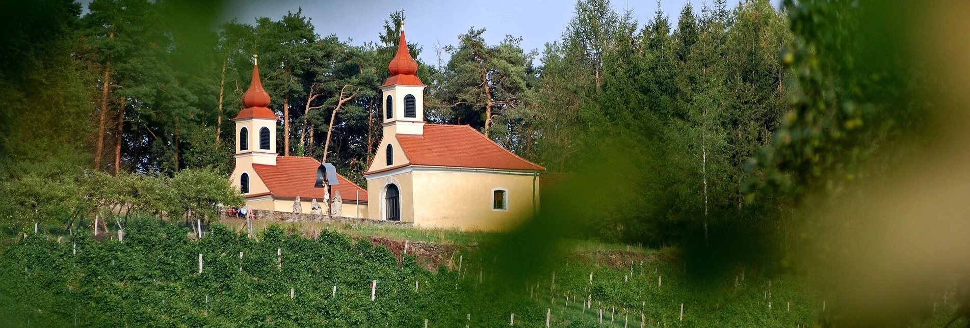 Bike Riding Vineyard round HB7, St. Johann bei Herberstein - Touren-Impression #1 | © Oststeiermark Tourismus