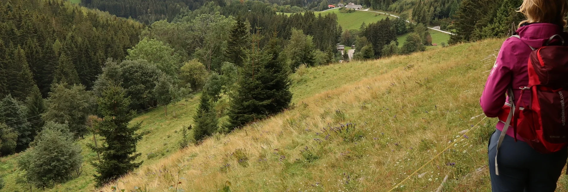 Wanderung Bären-Runde, Brandlucken - Touren-Impression #1 | © Oststeiermark Tourismus