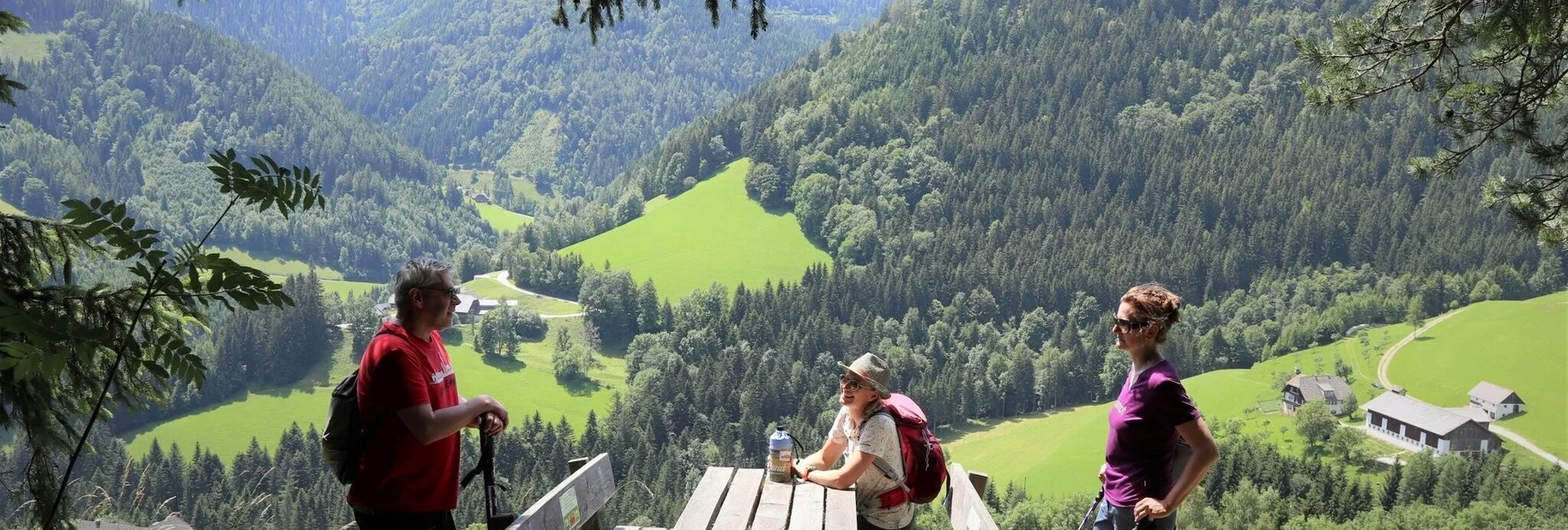 Wanderung Stoakogler-Heimatwanderweg, Gasen - Touren-Impression #1 | © Oststeiermark Tourismus