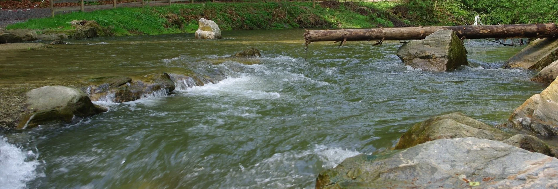 Hiking route Gorge tour, Stubenberg am See - Touren-Impression #1 | © Oststeiermark Tourismus