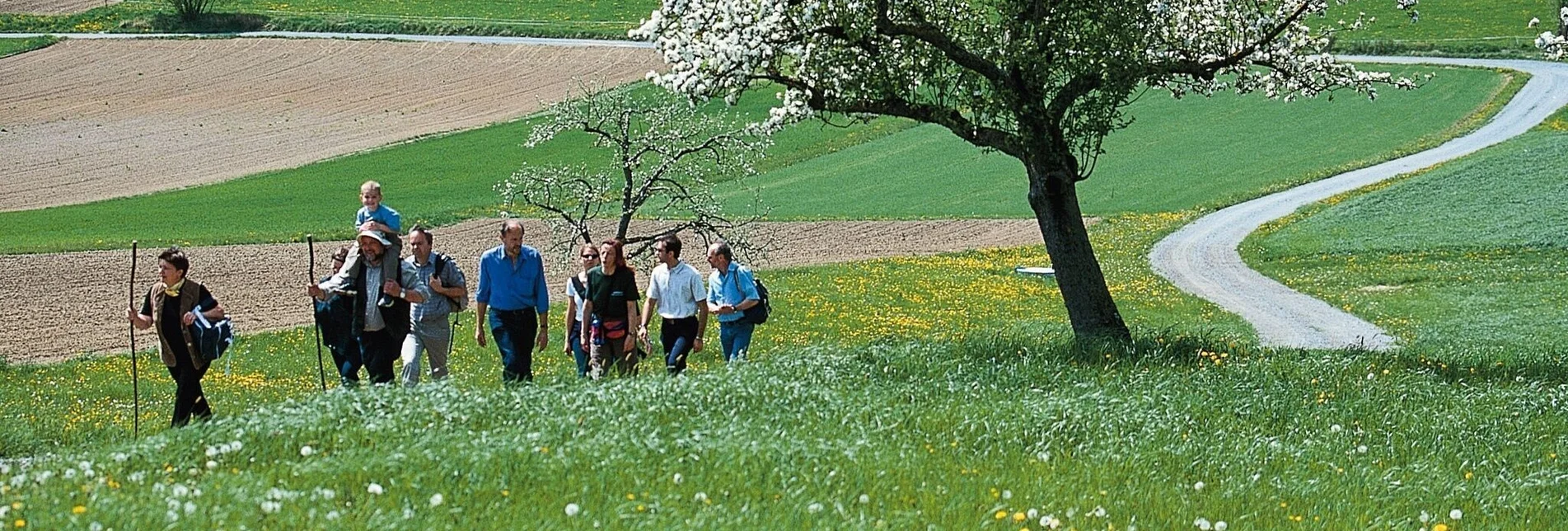 Themen- und Lehrpfad Tramway, Puch bei Weiz - Touren-Impression #1 | © Oststeiermark Tourismus