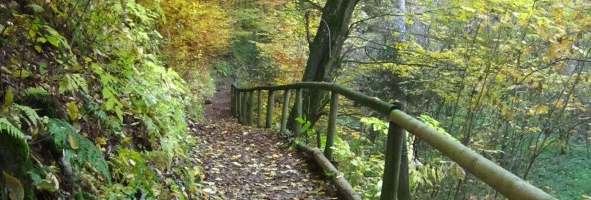 Jogging St. Ruprecht - adventure running course - Touren-Impression #1 | © Oststeiermark Tourismus