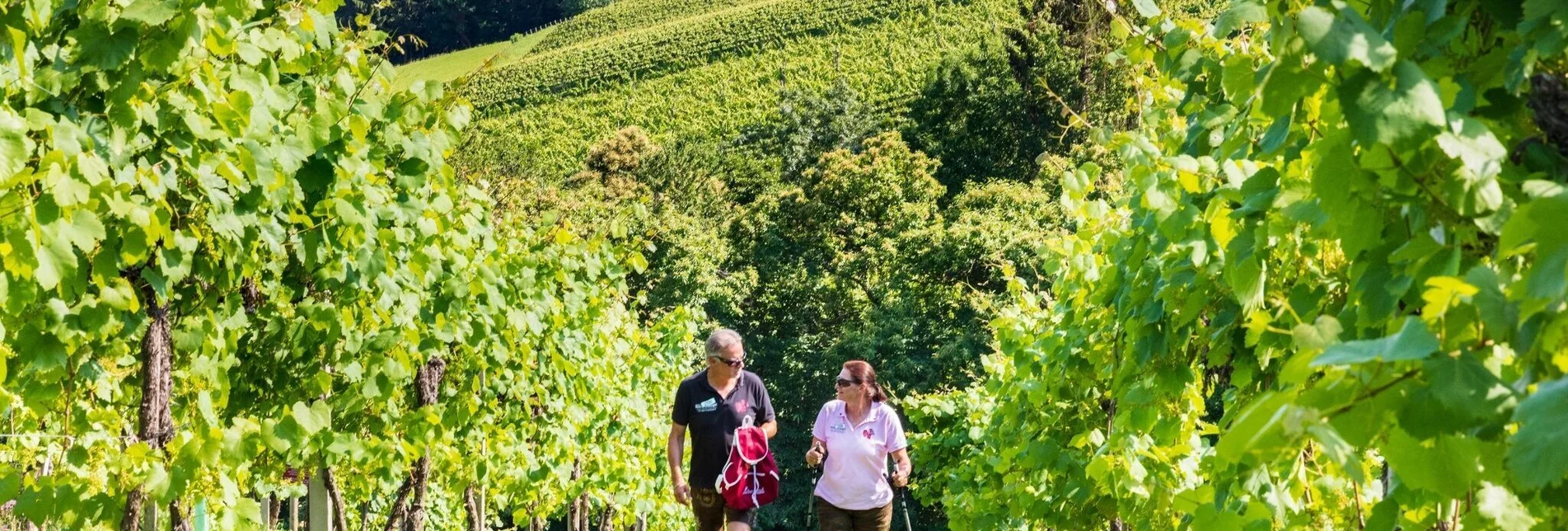 Wanderung Genuss-Schilchern DA - Gundersdorf - Touren-Impression #1 | © TVB Südsteiermark/Foto Augenblick