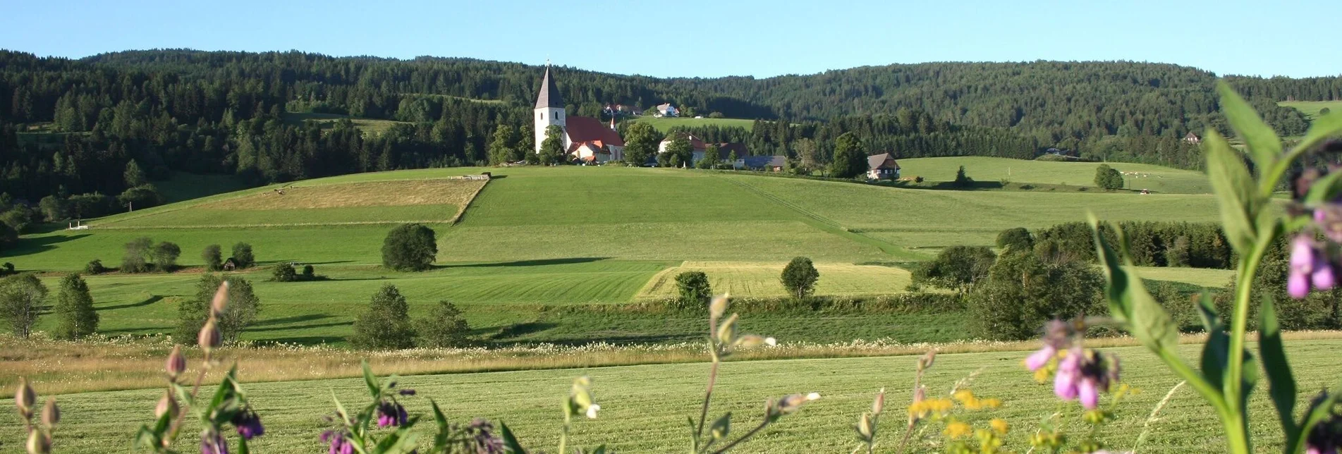 Wanderung Mariahof Rundwanderweg - Touren-Impression #1 | © Tourismusverband Murau