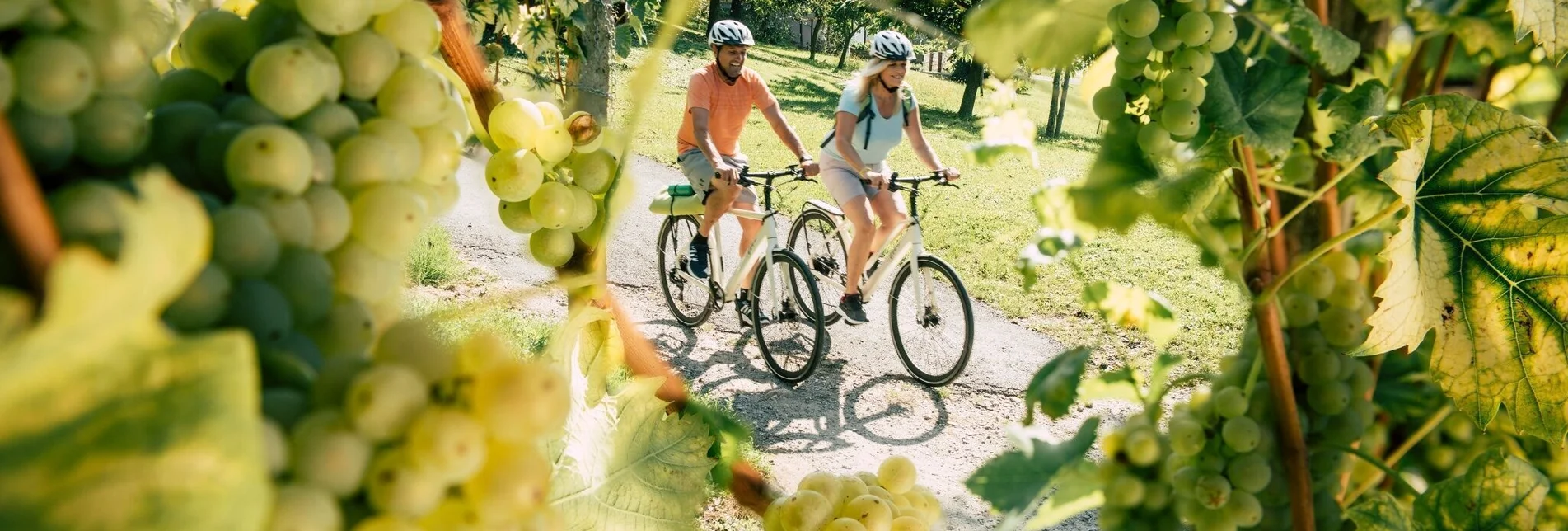 Radfahren Harter Teich-Radweg - Touren-Impression #1 | © Oststeiermark Tourismus