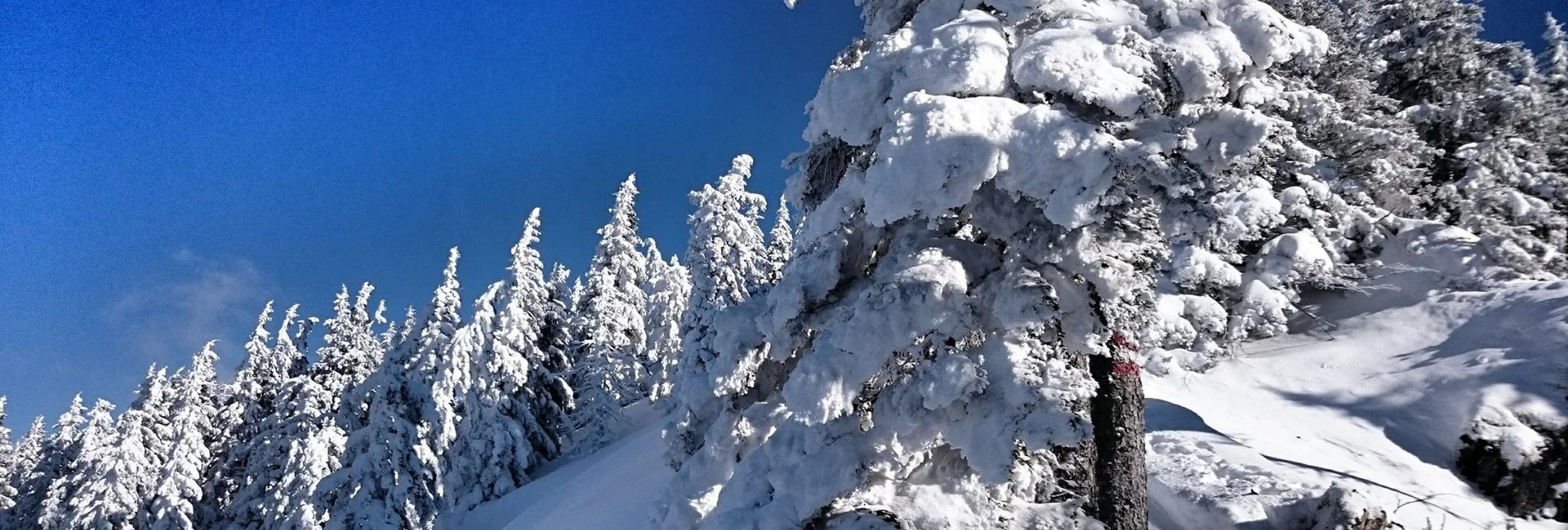 Winterwandern Winterwandern am Ennsradweg - Touren-Impression #1 | © Erlebnisregion Schladming-Dachstein