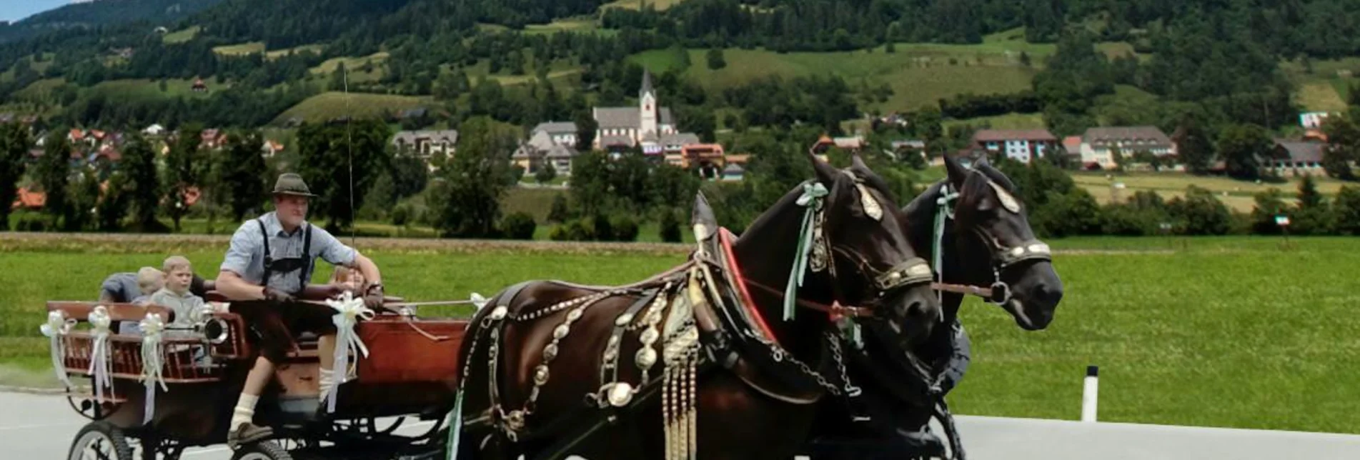 Horse Carriage Ride Horse-drawn sleigh & carriage rides Putzenbacher - Touren-Impression #1 | © Norikerzucht Putzenbacher