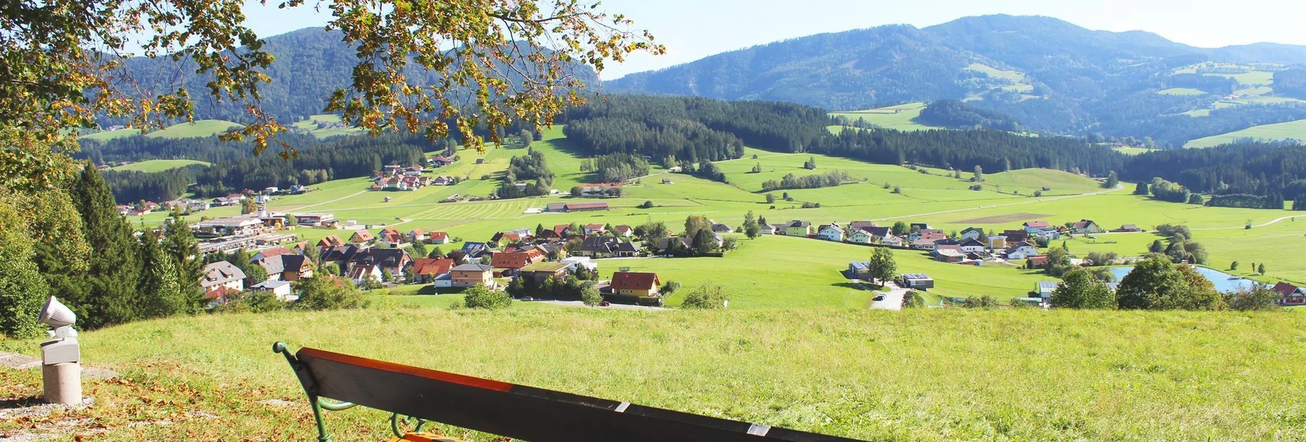 Familienwanderwege Bienen- & Waldlehrpfad Passail - Touren-Impression #1 | © Tourismusverband Oststeiermark