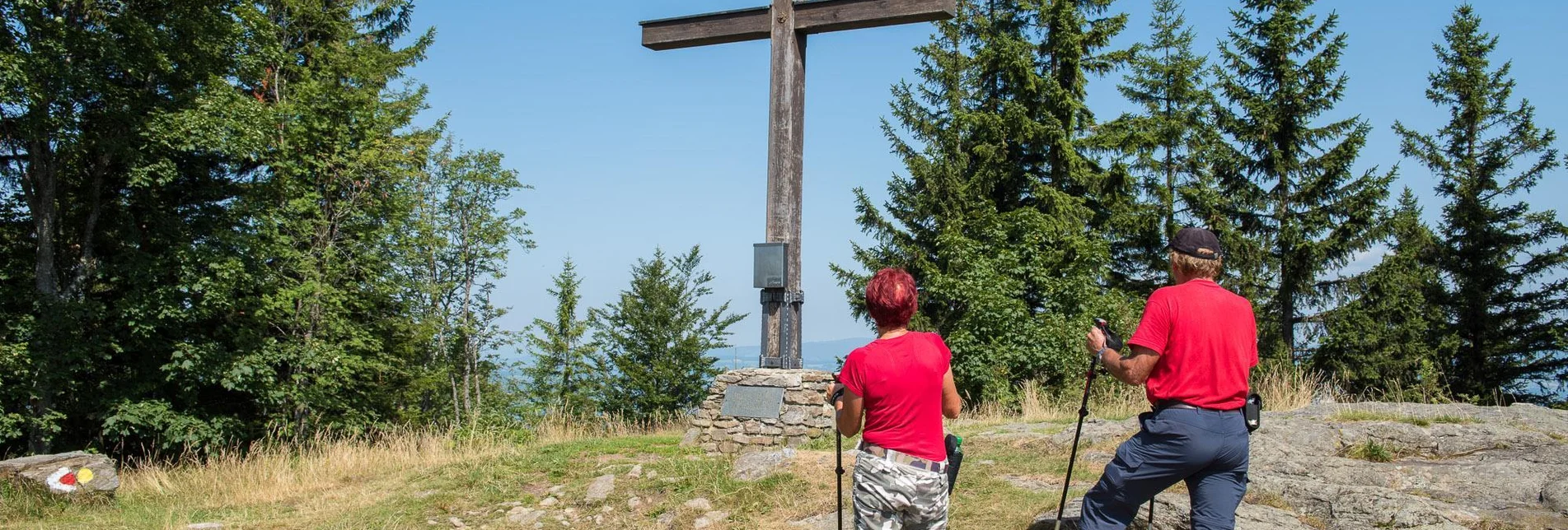 Familienwanderwege Waldlehrpad Masenberg - Touren-Impression #1 | © Helmut Schweighofer