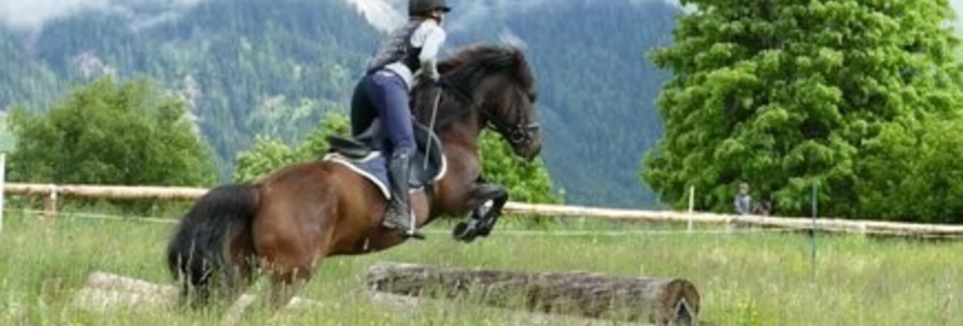 Reiten Huzulengestüt in Ramsau am Dachstein - Touren-Impression #1