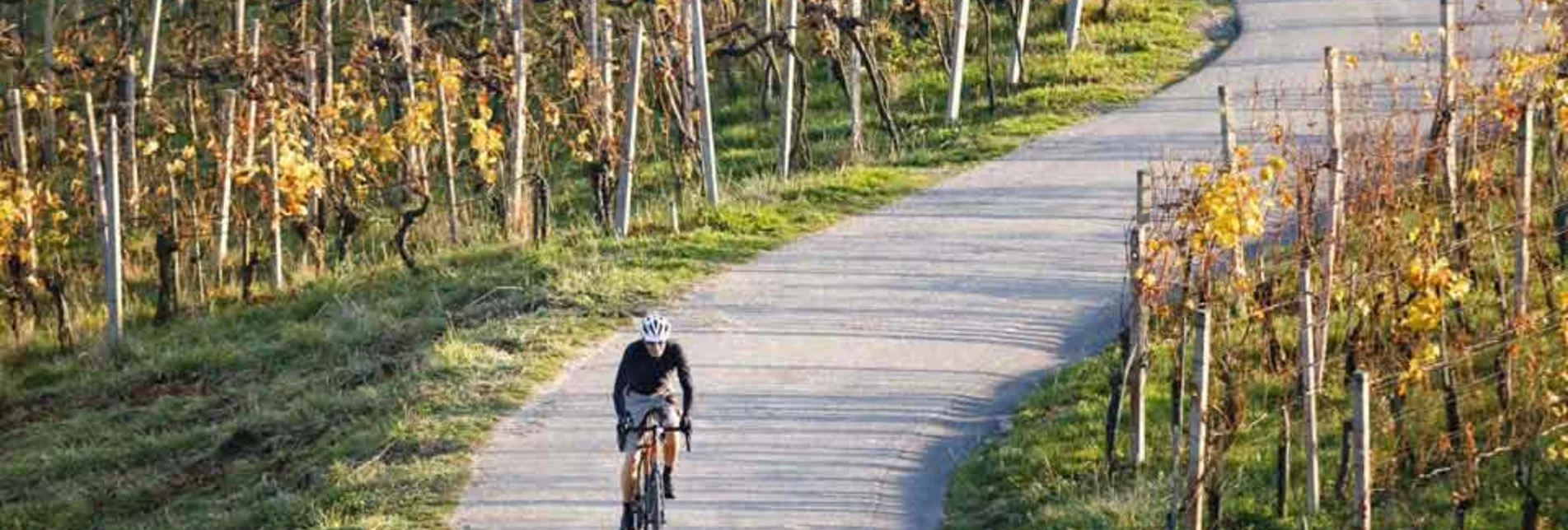 Road Cycling Weinstraßen Rock and Roll - Touren-Impression #1 | © Südsteiermark