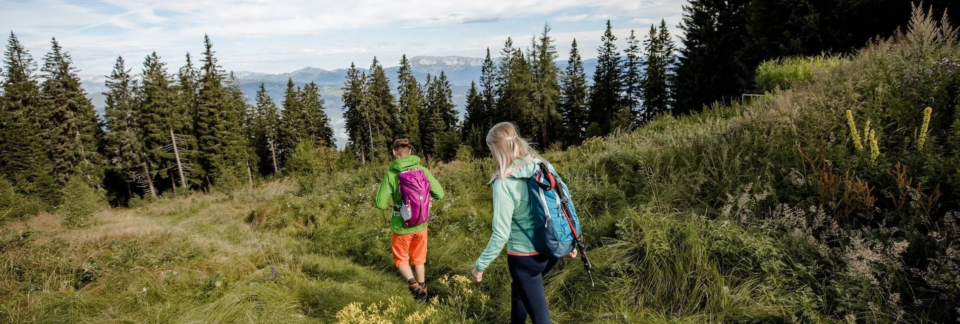 Hiking route Etappe 12: Stanglam/Wittmaierhütte - Kindberg - Almgasthof Pölzl (Schwammerlwirt) - Touren-Impression #1 | © Hochsteiermark