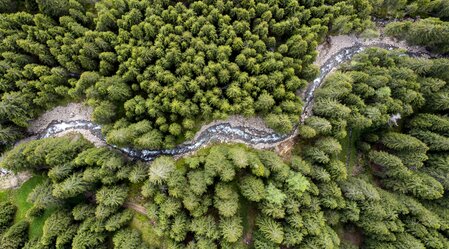 Schmelzbach schlingt sich durch die steirischen Wälder | © STG | Tom Lamm