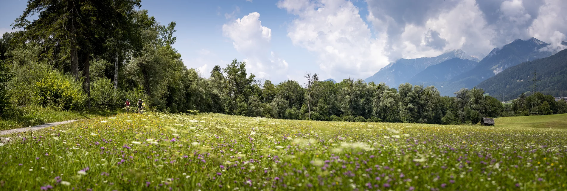 Ennsradweg | © Steiermark Tourismus | Tom Lamm