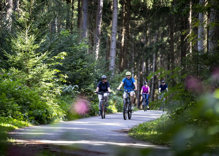 Am Murradweg im Murtal | © STG | Tom Lamm