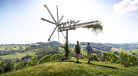 Weinwandern in der Südsteiermark | © STG | Tom Lamm