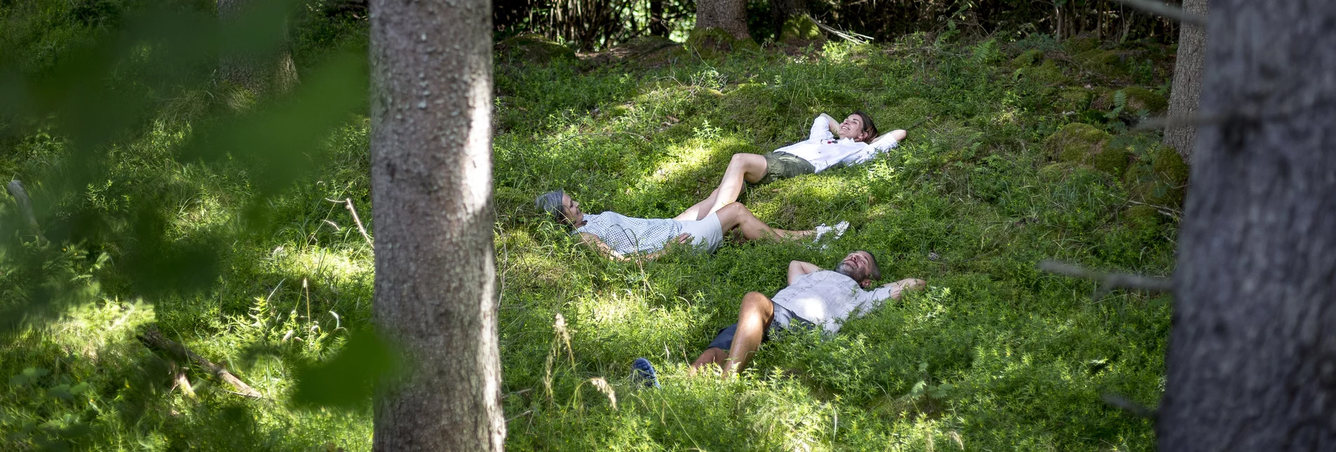 PackageWaldbaden in der Hochsteiermark - Neue Energie tanken in der Kraftquelle Wald