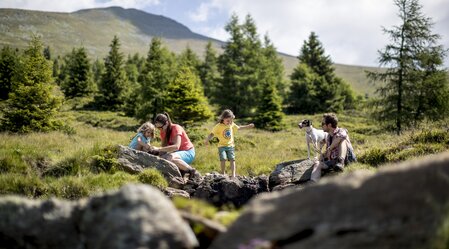 Family holidays with dog on the  Zirbitzkogel | © Steiermark Tourismus | Tom Lamm