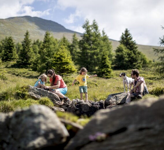 Family holidays with dog on the  Zirbitzkogel | © Steiermark Tourismus | Tom Lamm