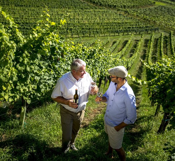 Wine tasting with winegrower Alois Gross in his vineyard, Ratsch at the wine route | © Steiermark Tourismus | Tom Lamm