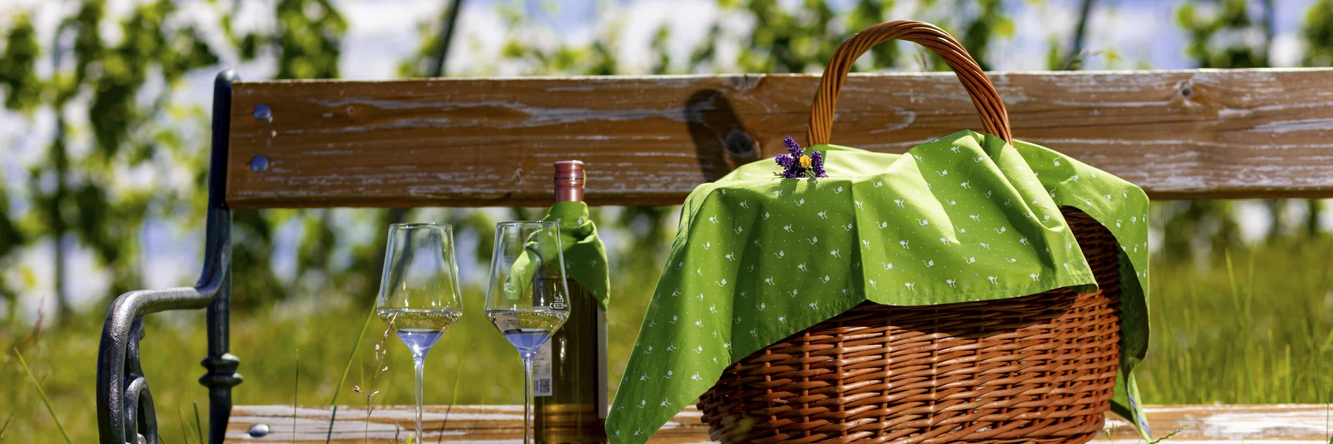 Picknick im Weingarten | © STG | Harry Schiffer