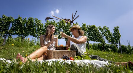 Picknick im Weingarten (mit Klapotetz, Ratsch a. d. Weinstraße) | © STG | Tom Lamm