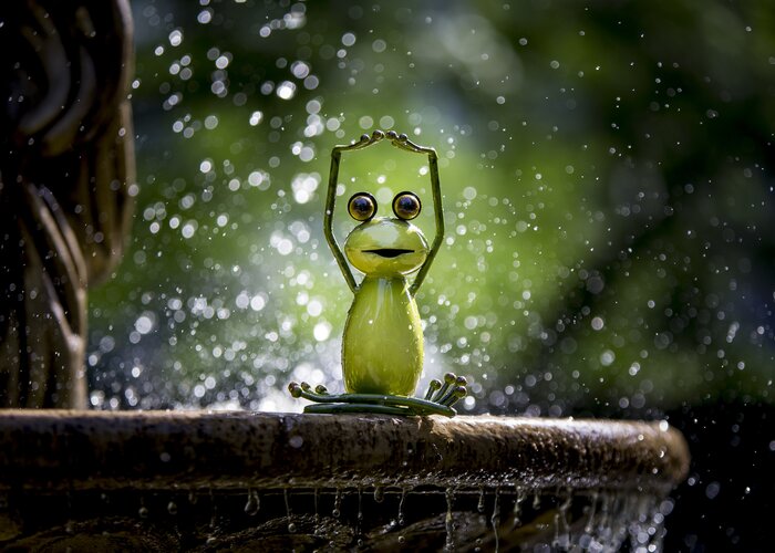 Styrian frog in his element | © Steiermark Tourismus | Tom Lamm