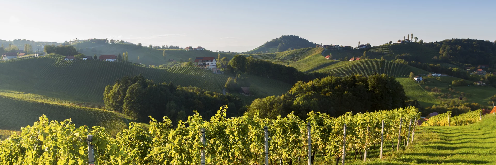 Südsteiermark | © STG | Harry Schiffer