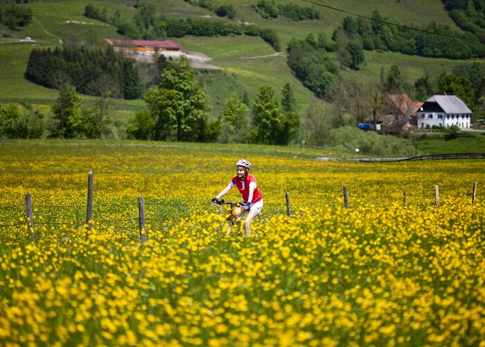 Radfahren im Frühling | © STG | Tom Lamm