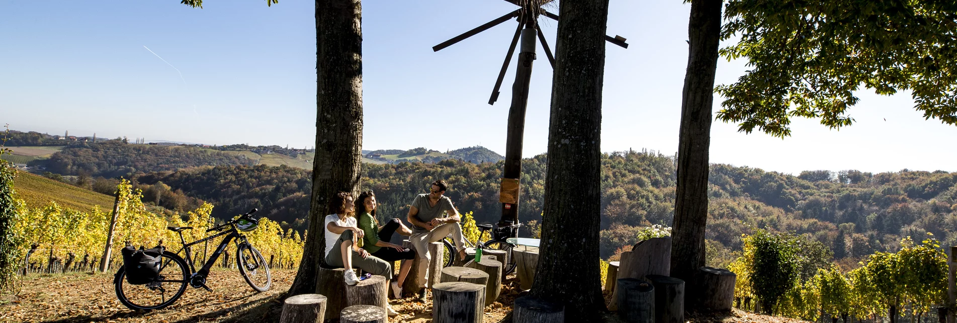 Cycling at the Styrian Wine Country Cycling Tour | © Steiermark Tourismus | Tom Lamm