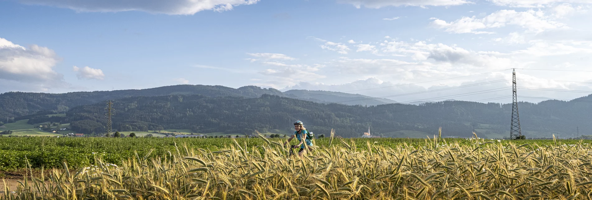 PackageMurradweg im Herbst - Vom Steirerkas zu Wein und Kernöl