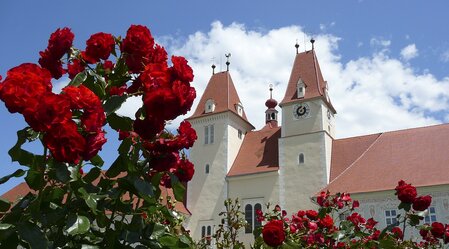 Stift Vorau | © Manfred Glössl