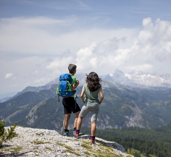 View of the Dachstein glacier: hiking route From the glacier to the wine | © Steiermark Tourismus | Tom Lamm