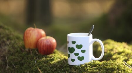 Rast im Wald: Steiermark-Häferln und Äpfeln | © STG | Bernhard Loder